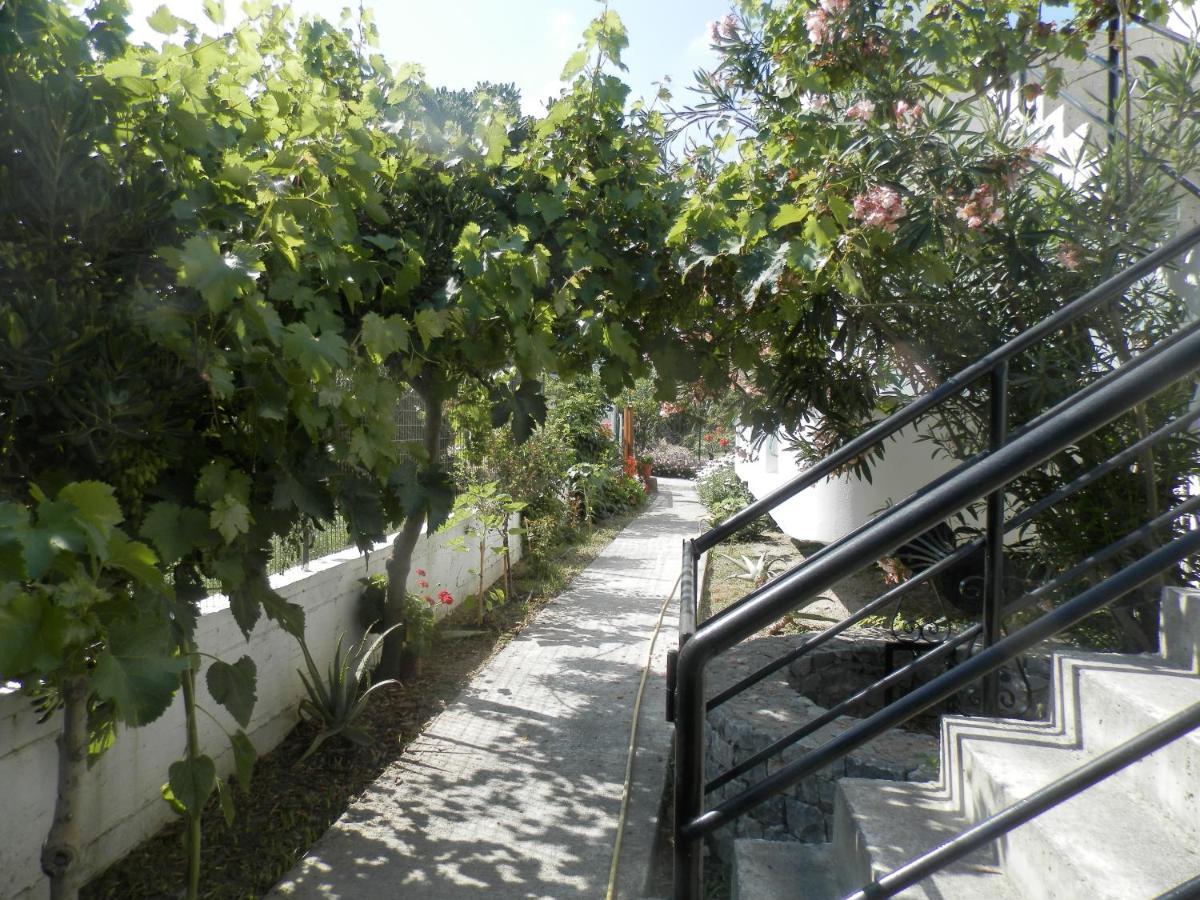 Silvi Mari Apartments Platanes  Exterior foto